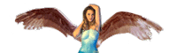 [Wings Attatched]