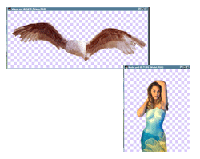 [Model & Wings]