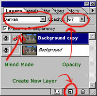[Layers Palette]