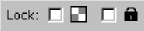 lock icons