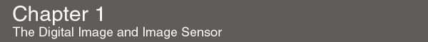 chpt1.gif (3339 bytes)
