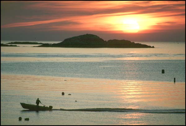 sunrise_with_boat.jpg (31817 bytes)