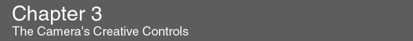 chpt3.gif (3378 bytes)