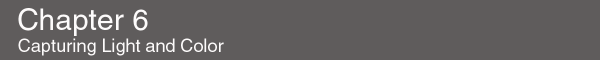 chpt6.gif (3092 bytes)