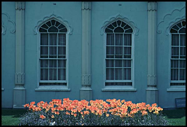 english_flowers.jpg (46305 bytes)
