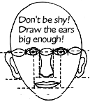 Step 5: Ears