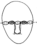 Step 3: Nose