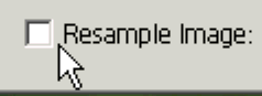 Resample checkbox