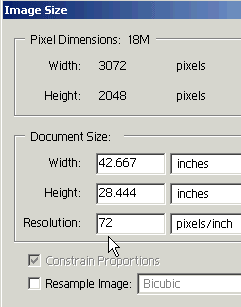 Image size at 72 ppi