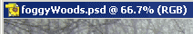 title bar after Save As