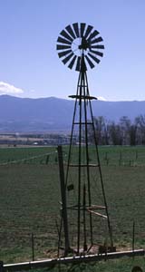 shutter fast.jpg (11512 bytes)