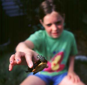 emily and turtle.jpg (13711 bytes)
