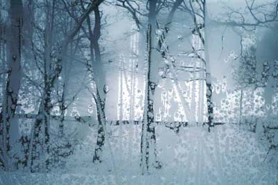 frosted_glass.jpg (26826 bytes)
