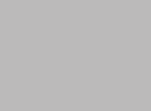 gray.gif (379 bytes)