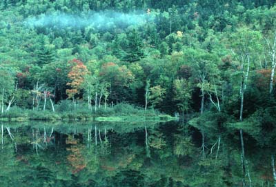 nhpond.jpg (34585 bytes)