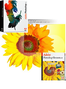 photoshop.gif (26758 bytes)